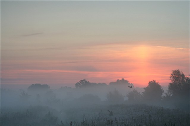 Die Seele baumeln lassen -im Einklang mit Gott 