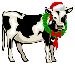 12-4-Weihnachtsmorgen