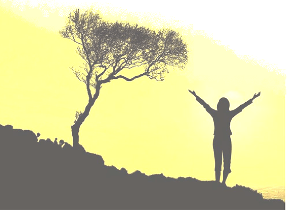 Aber trotz all dem tragen wir einen überwältigenden Sieg davon durch Christus, der uns geliebt hat. Ich bin überzeugt: Nichts kann uns von seiner Liebe trennen. Weder Tod noch Leben, weder Engel noch Mächte, weder unsere Ängste in der Gegenwart noch unsere Sorgen um die Zukunft, ja nicht einmal die Mächte der Hölle können uns von der Liebe Gottes trennen. Und wären wir hoch über dem Himmel oder befänden uns in den tiefsten Tiefen des Ozeans, nichts und niemand in der ganzen Schöpfung kann uns von der Liebe Gottes trennen, die in Christus Jesus, unserem Herrn, erschienen ist. – Römer 8:37-39