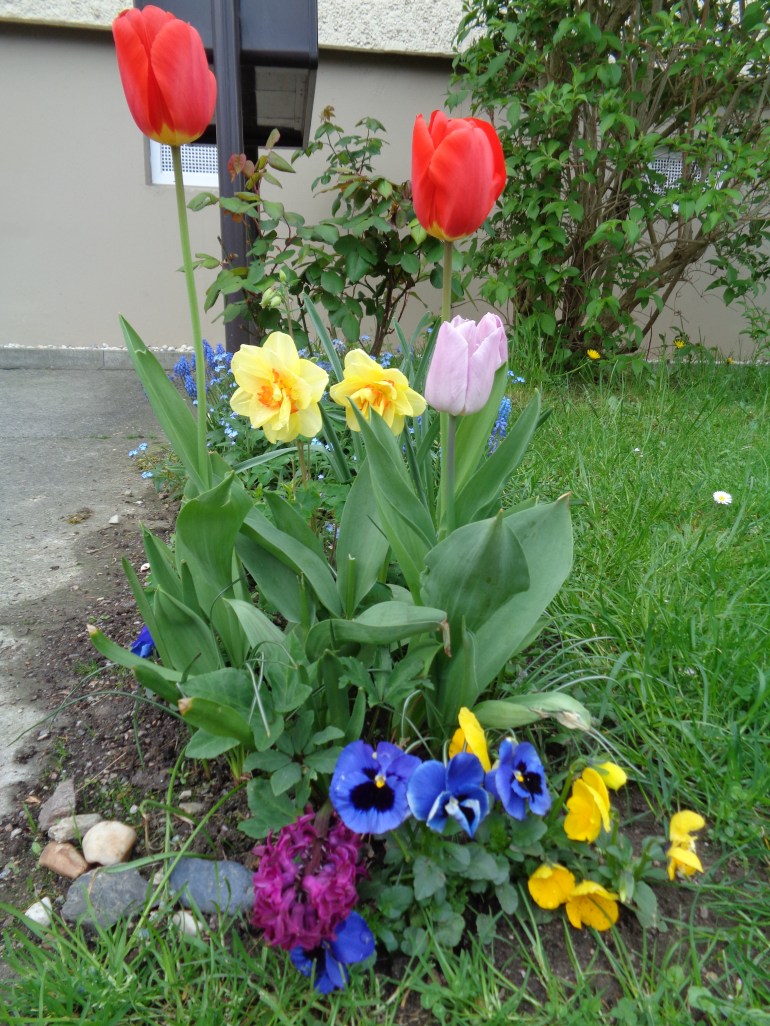 2019-04-25-6