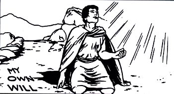 13-own will