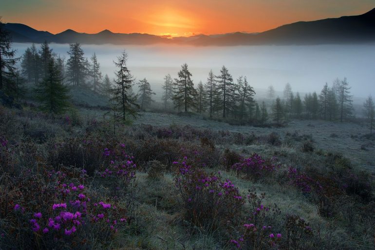 Bro Insidesoulart-FB-seite