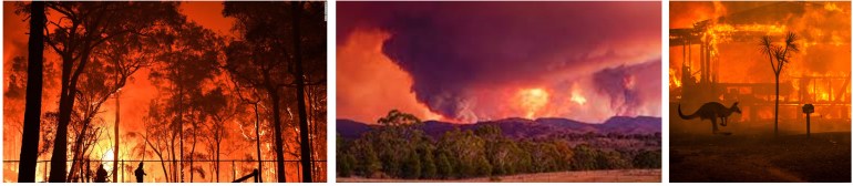 7Wochen-Angst-Austr.